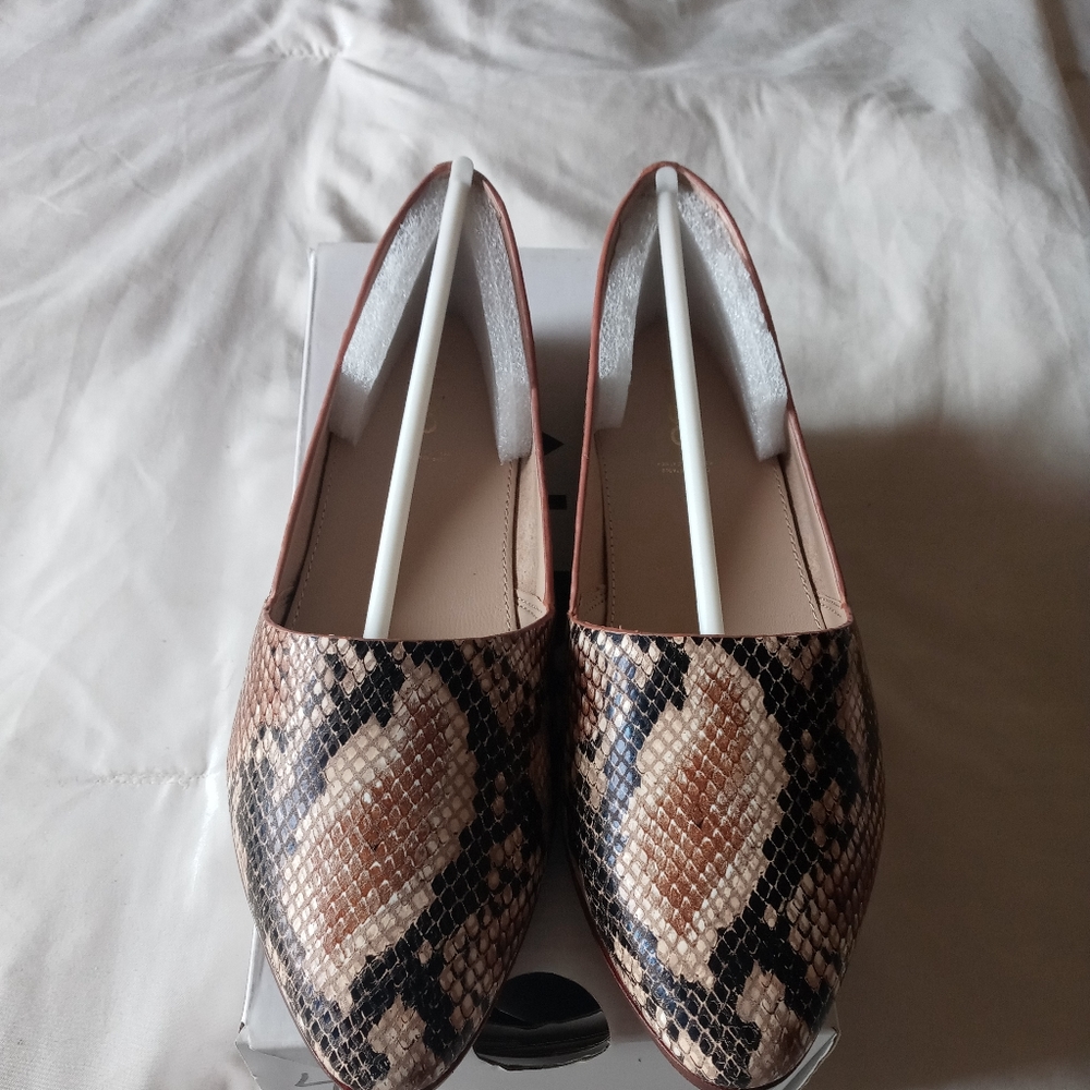 "New" ALDO Blanchette Shoes